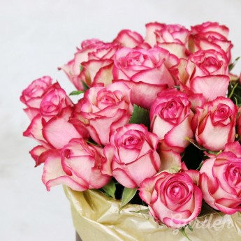 25 кремово-розовых роз в шляпной коробке